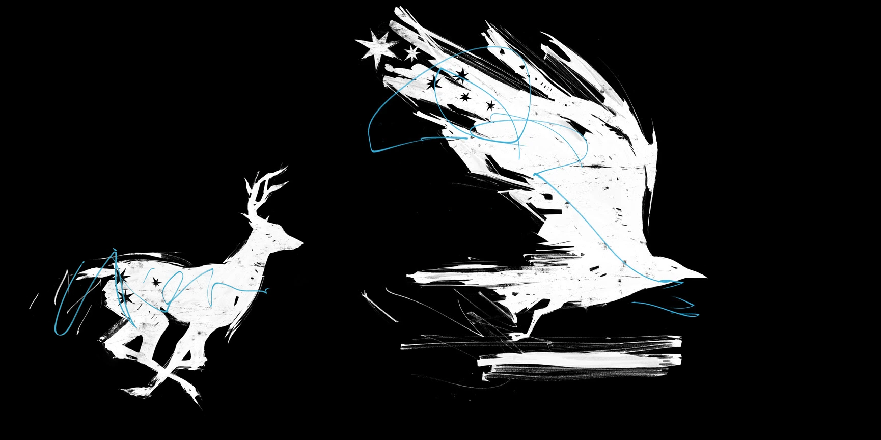 Двуличность духов